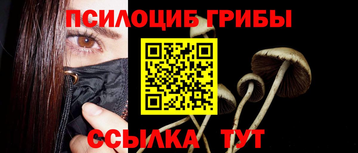 Галлюциногенные грибы прущие грибы Курск