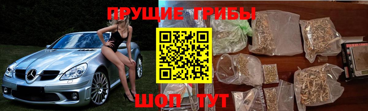 Галлюциногенные грибы Psilocybe  Псилоцибиновые грибы Cubensis  Курск  Вход с VPN 