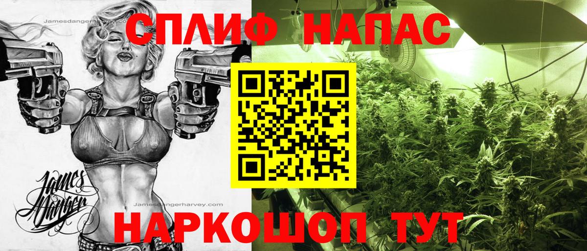 Канабис Amnesia  Бошки марихуана сатива  Вход с VPN  Канабис THC 21%  Курск 